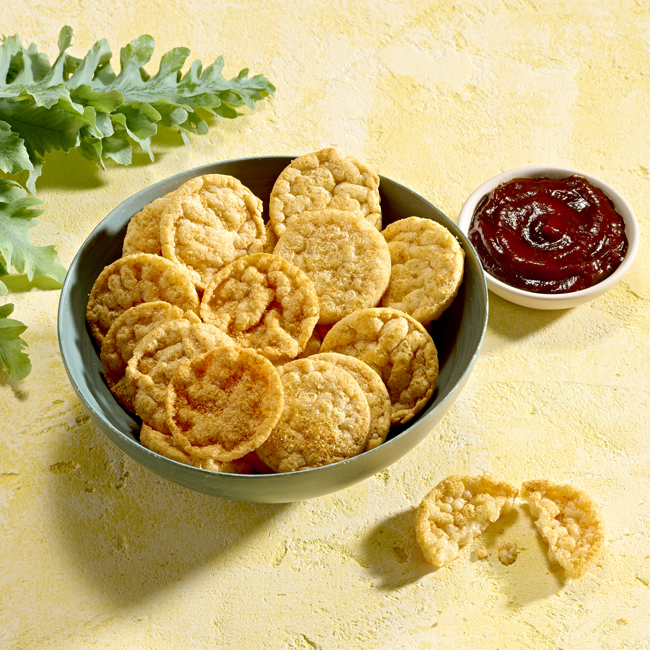 Barbecue Protein Chips